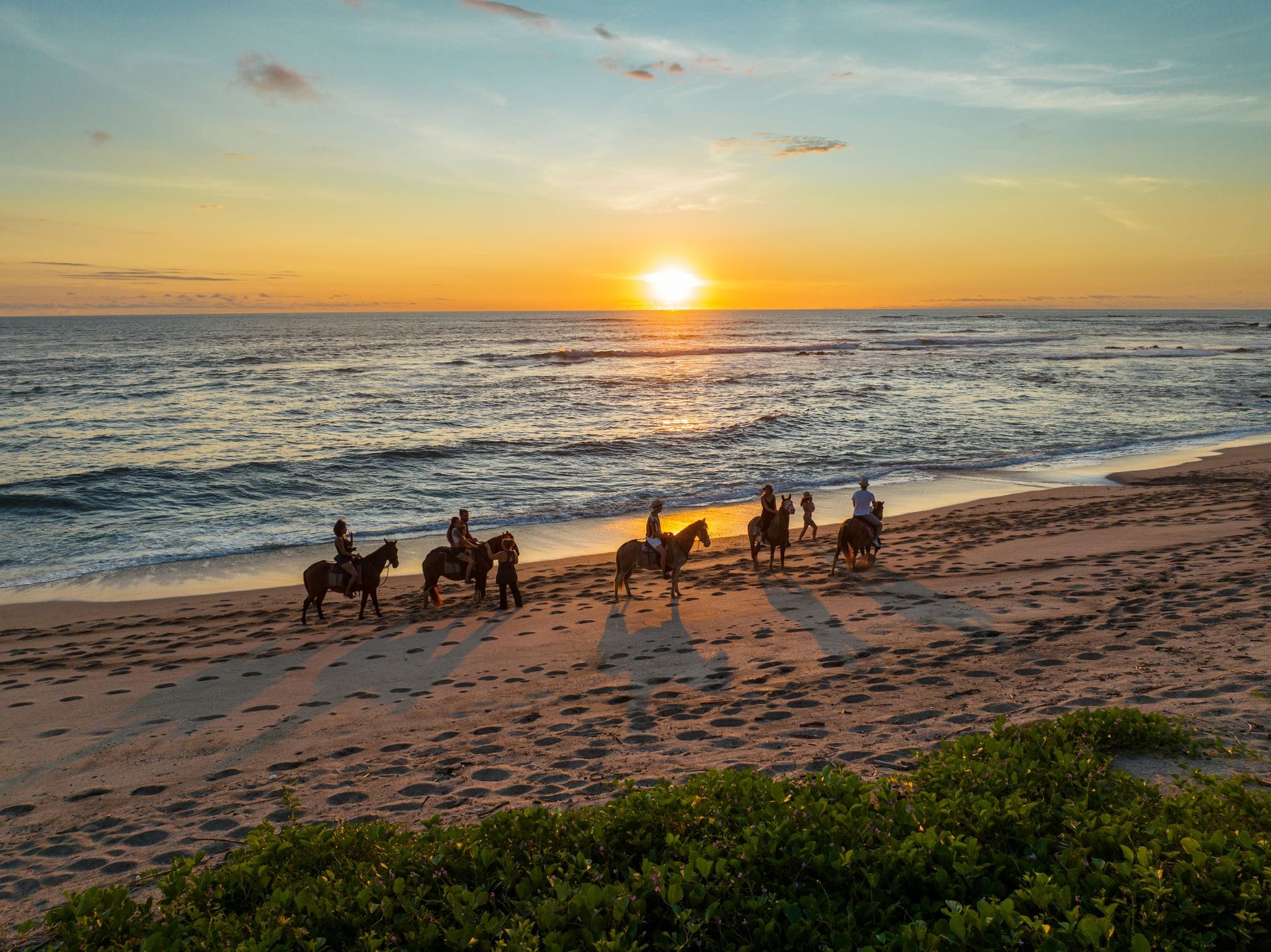 Tours & Aventura
